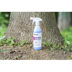SHINE nabłyszczacz EVIL Lubricants 250 ml